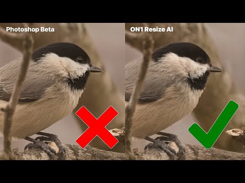 Photoshop Beta vs Resize AI 2026: Who Wins the 4X Test?