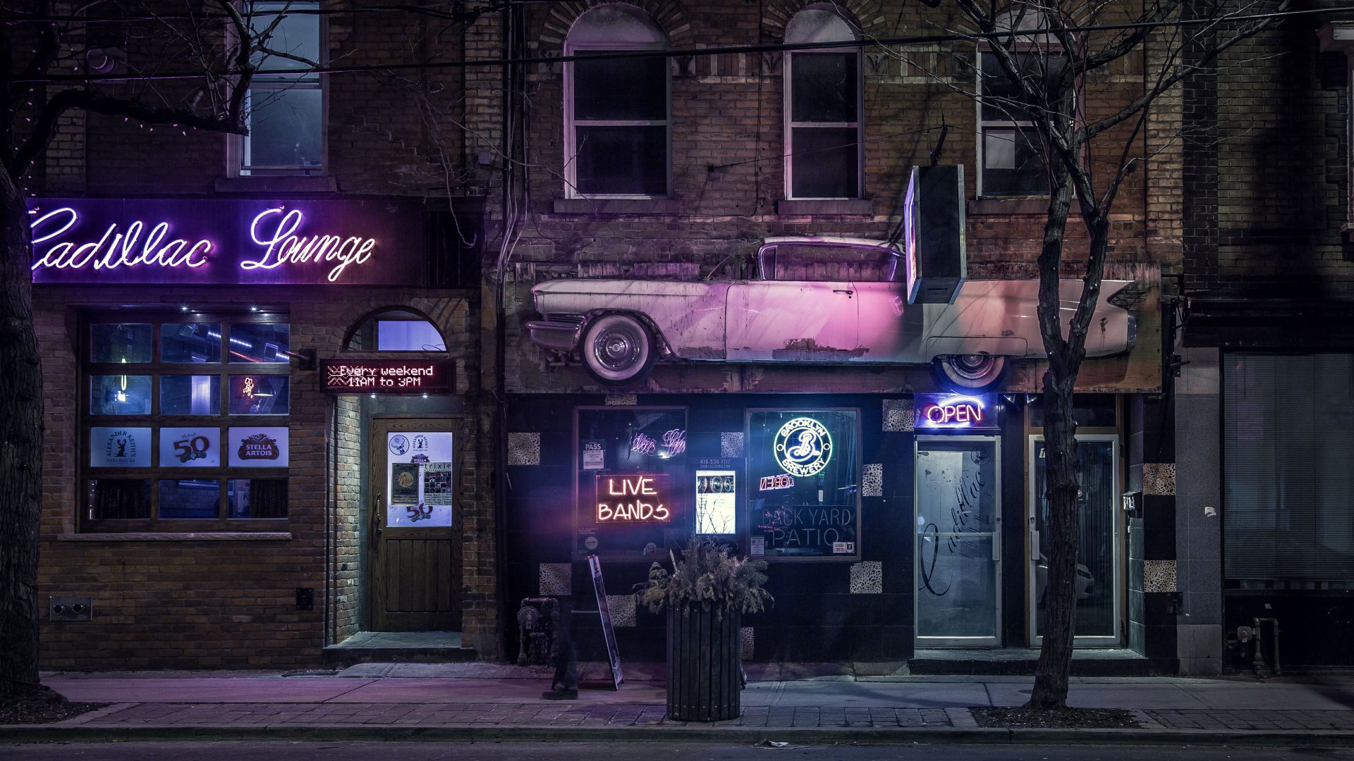 Travelling around the world | Neon lights in Toronto at night