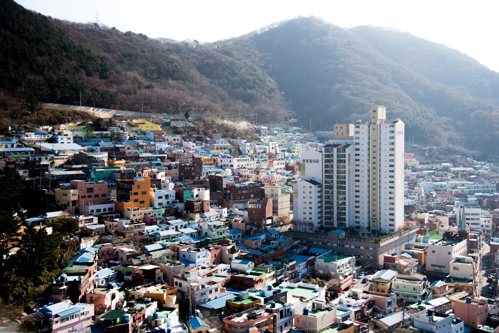 A panoramic view of Busan