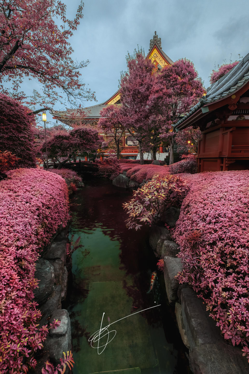 Aerochrome Tokyo