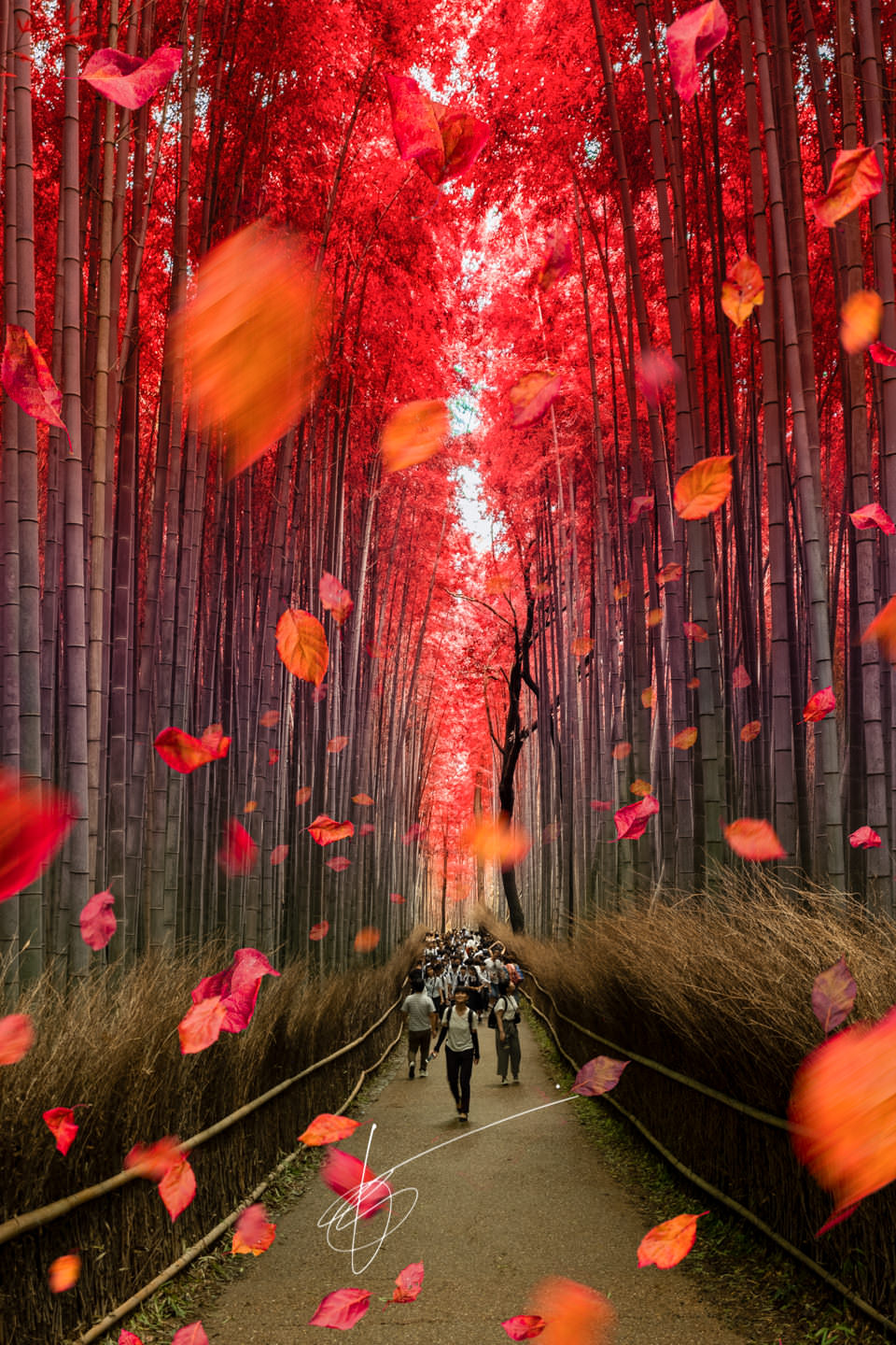 Aerochrome Kyoto