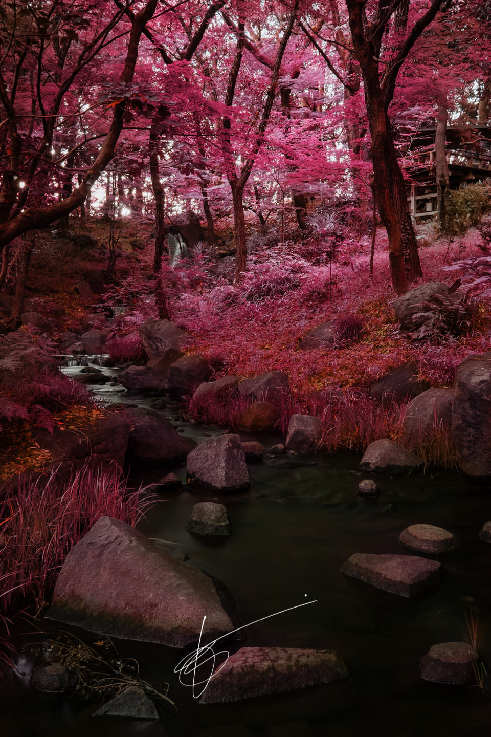 Aerochrome Tokyo