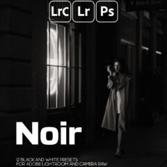 NOIR — Presets Pack for Lightroom and ACR