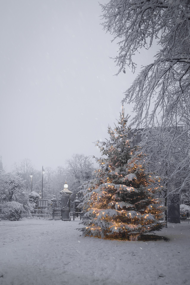 Xmas snow in London, Victoria Park, Christmas tree
